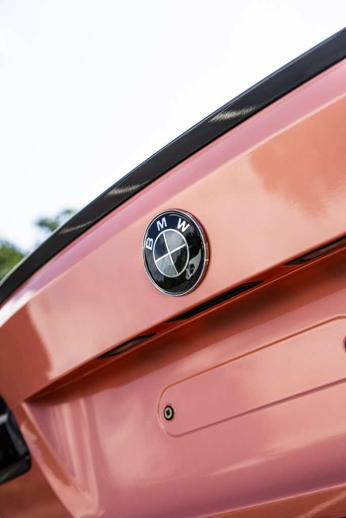 BMW 318 - logo closeup
