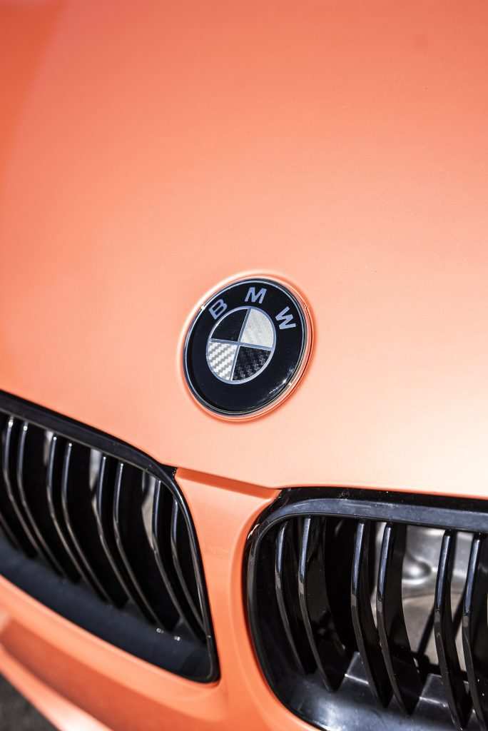 BMW 318 Logo Closeup