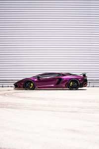 Vinyl Wrapped Lambo